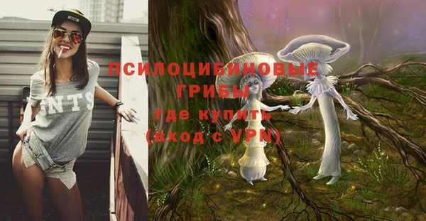 прущие крисы Горно-Алтайск
