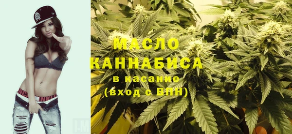 прущие крисы Горняк