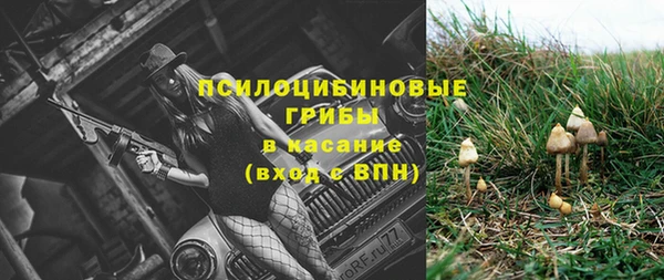 прущие крисы Горняк