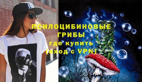ПСИЛОЦИБИНОВЫЕ ГРИБЫ Горнозаводск