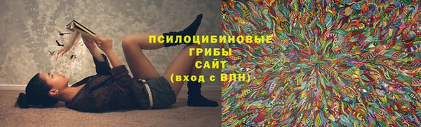 прущие крисы Горно-Алтайск