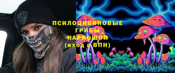 прущие крисы Горняк