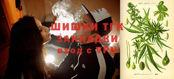 прущие крисы Горняк
