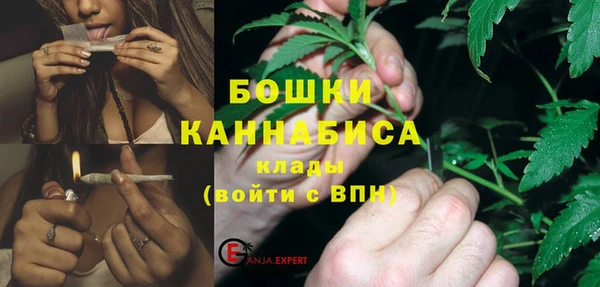 ПСИЛОЦИБИНОВЫЕ ГРИБЫ Горнозаводск