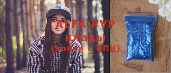 прущие крисы Горняк