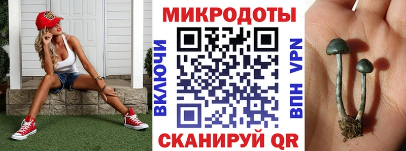 Галлюциногенные грибы ЛСД Зверево